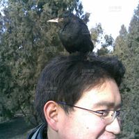 头像相册