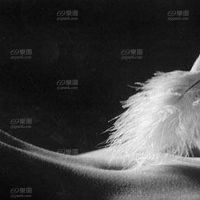 香槟朋友