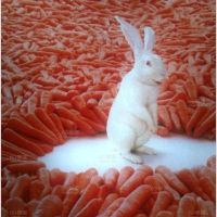 发vgfdsv