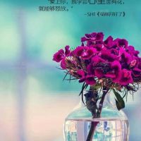 骚逼也一样