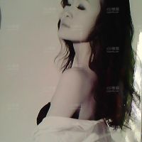 我的情人