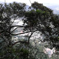 金鸡山之旅