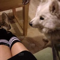 女友美腿