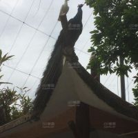 我自己