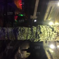 爱爱