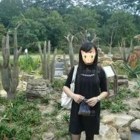 老婆