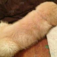 老歌