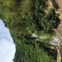 借我一生