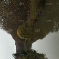 沿途风景