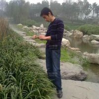 我的相册