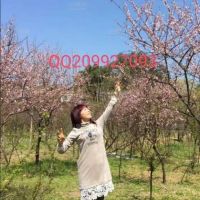 老婆