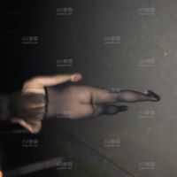 公园夜游