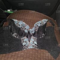 今晚的车震老婆