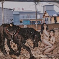妻与她的马术教练