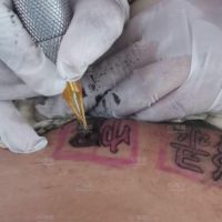 做绿帽王八就要做到极致
