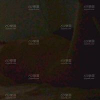 干我老婆吧
