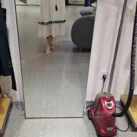 闷骚老婆想要粗长硬久猛