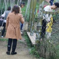 福缘洞