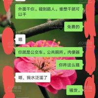 骚货的聊天记录