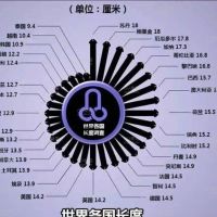 雨玉欲