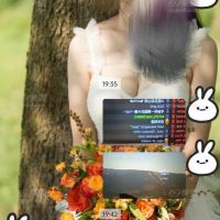 逗比骚妻日常
