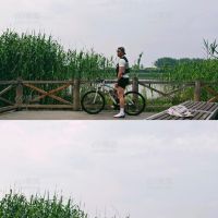 蘑菇本菇