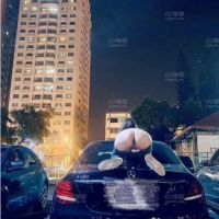 近期杂图