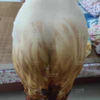 老婆裸体