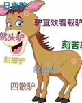 司司大大