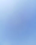 海口小子