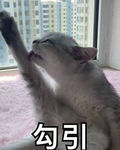 袋袋鼠