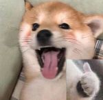 gergergre