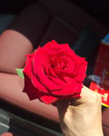 帝王蟹